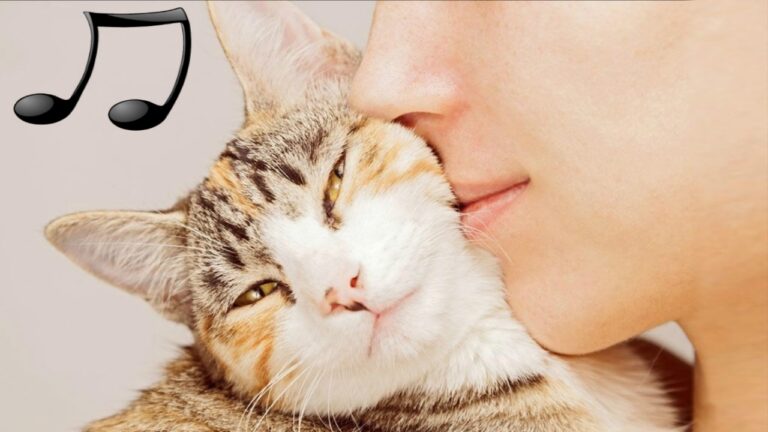 I nomi buddisti per gatti: una guida ispiratrice per trovare l’equilibrio felino